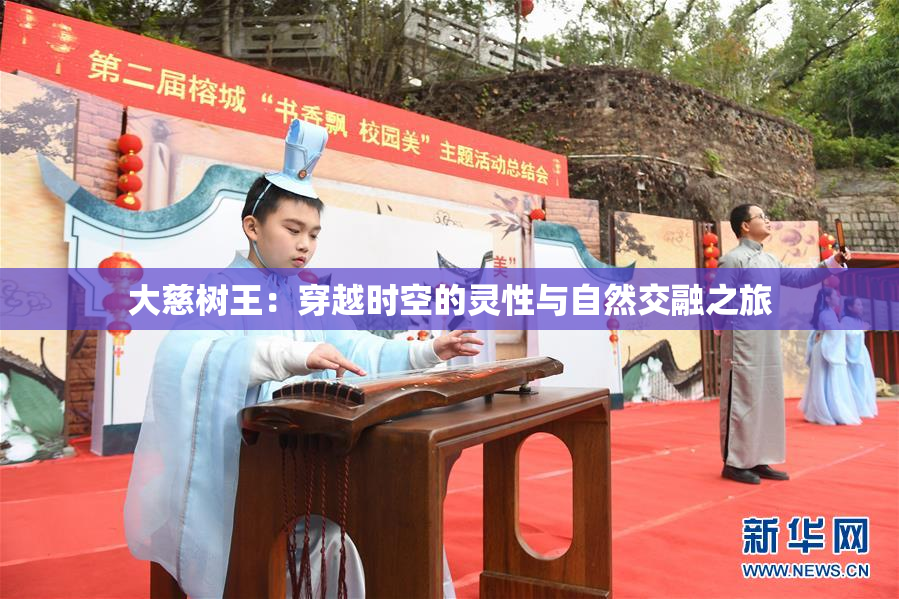 大慈树王：穿越时空的灵性与自然交融之旅