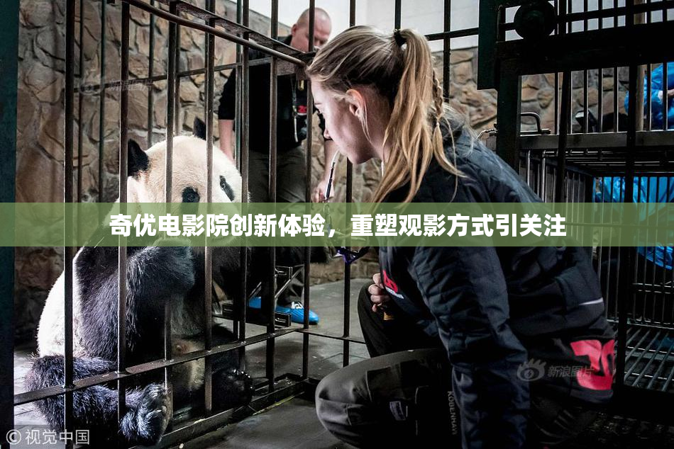 奇优电影院创新体验，重塑观影方式引关注