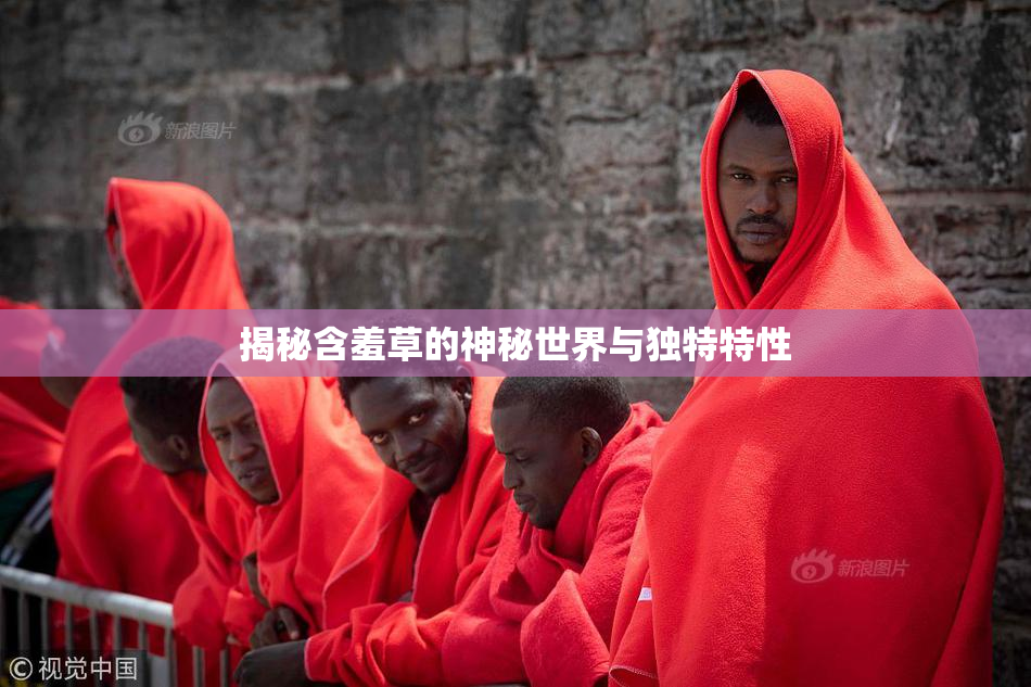 揭秘含羞草的神秘世界与独特特性