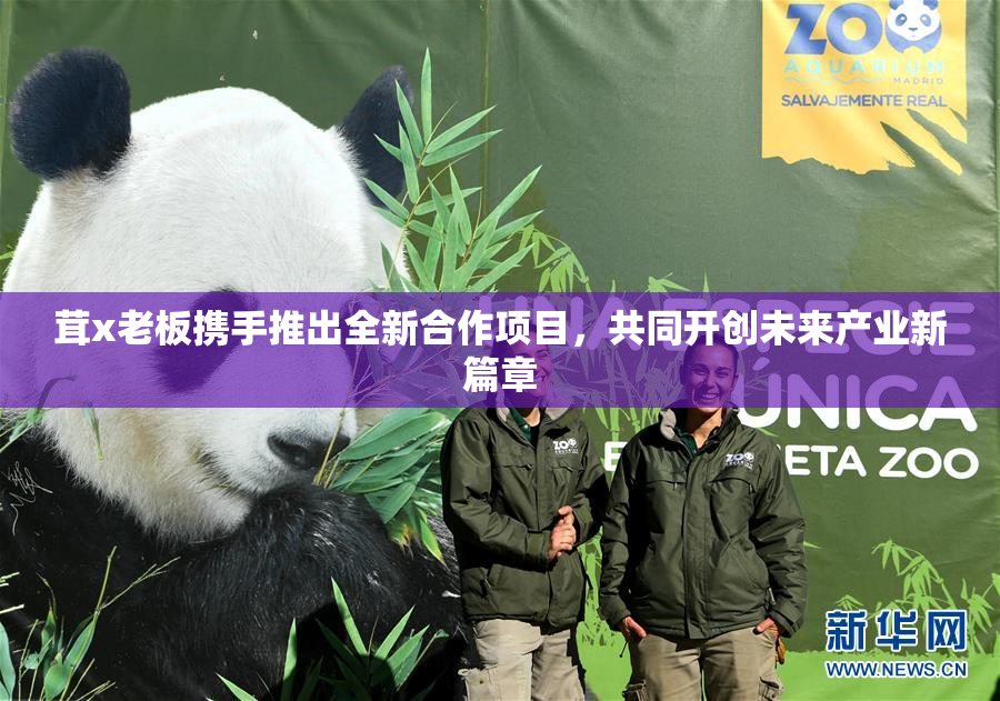 茸x老板携手推出全新合作项目，共同开创未来产业新篇章