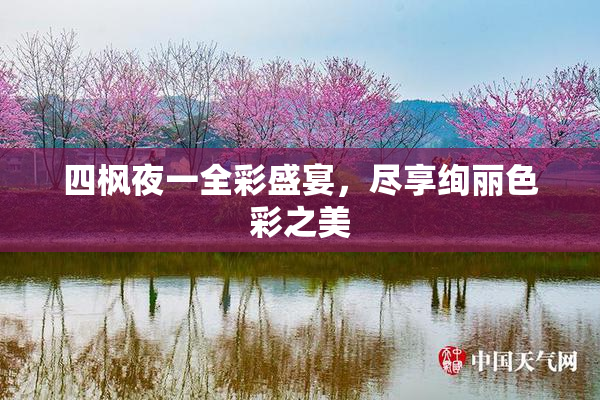 四枫夜一全彩盛宴，尽享绚丽色彩之美