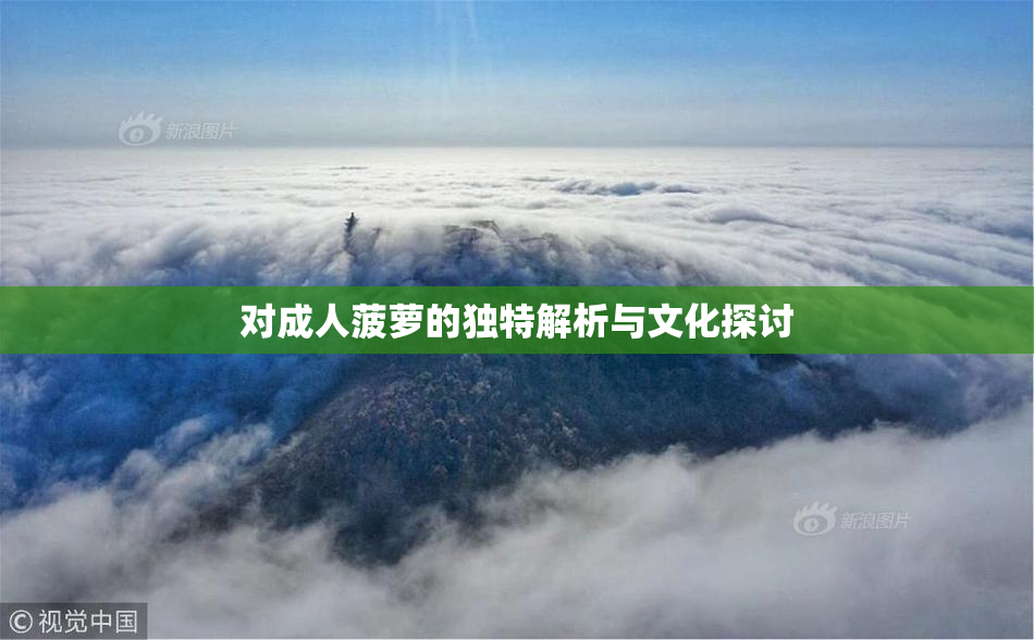 对成人菠萝的独特解析与文化探讨