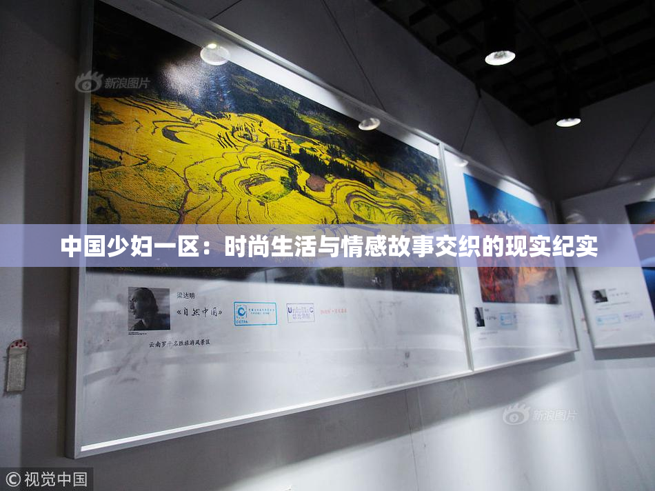 中国少妇一区：时尚生活与情感故事交织的现实纪实