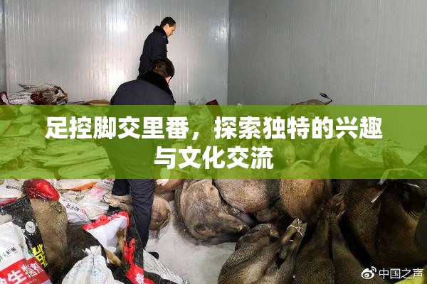 足控脚交里番，探索独特的兴趣与文化交流