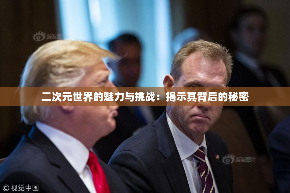 二次元世界的魅力与挑战：揭示其背后的秘密