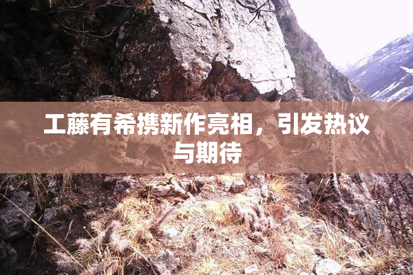 工藤有希携新作亮相，引发热议与期待