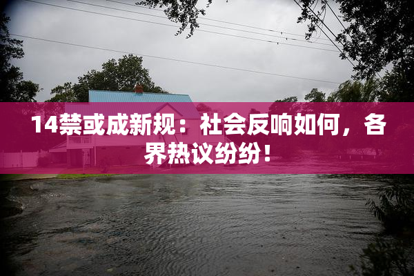 14禁或成新规：社会反响如何，各界热议纷纷！