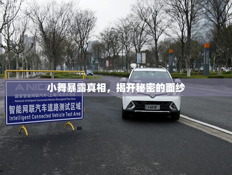 小舞暴露真相，揭开秘密的面纱