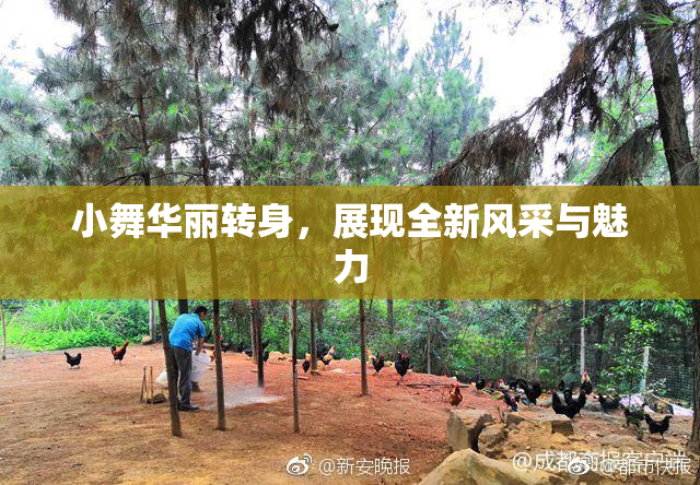小舞华丽转身，展现全新风采与魅力