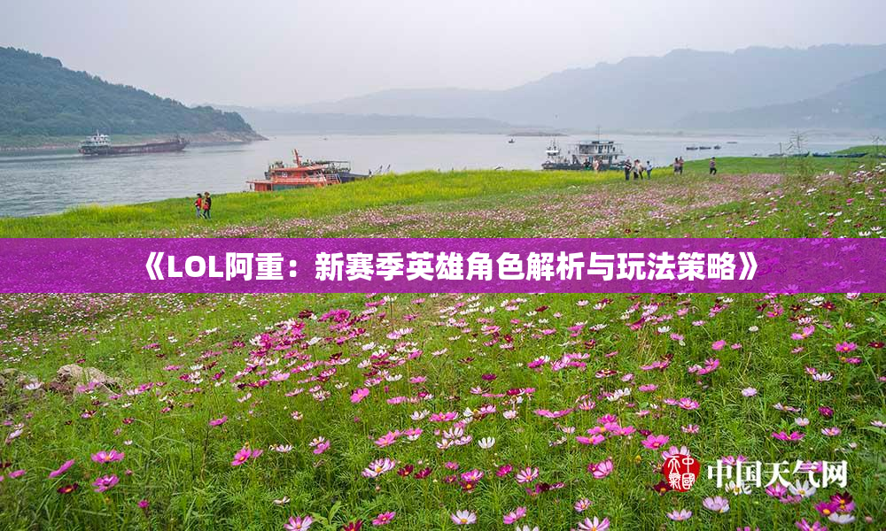 《LOL阿重：新赛季英雄角色解析与玩法策略》