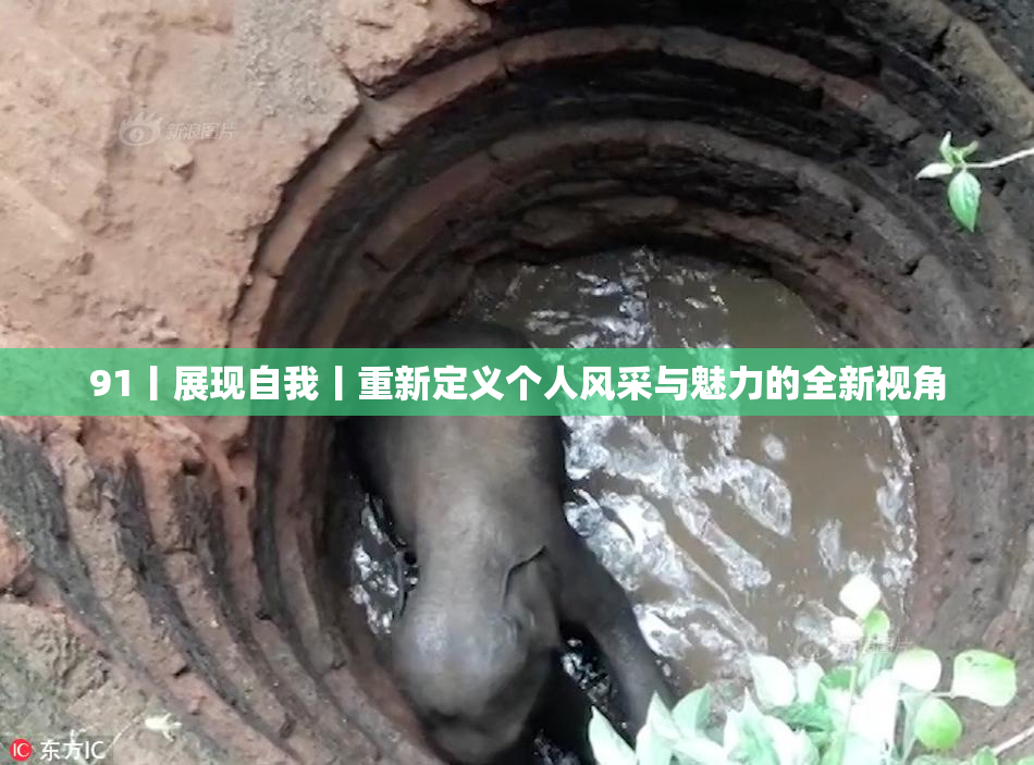 91丨展现自我丨重新定义个人风采与魅力的全新视角
