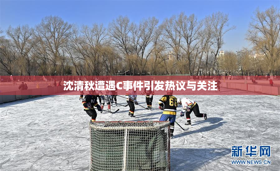 沈清秋遭遇C事件引发热议与关注