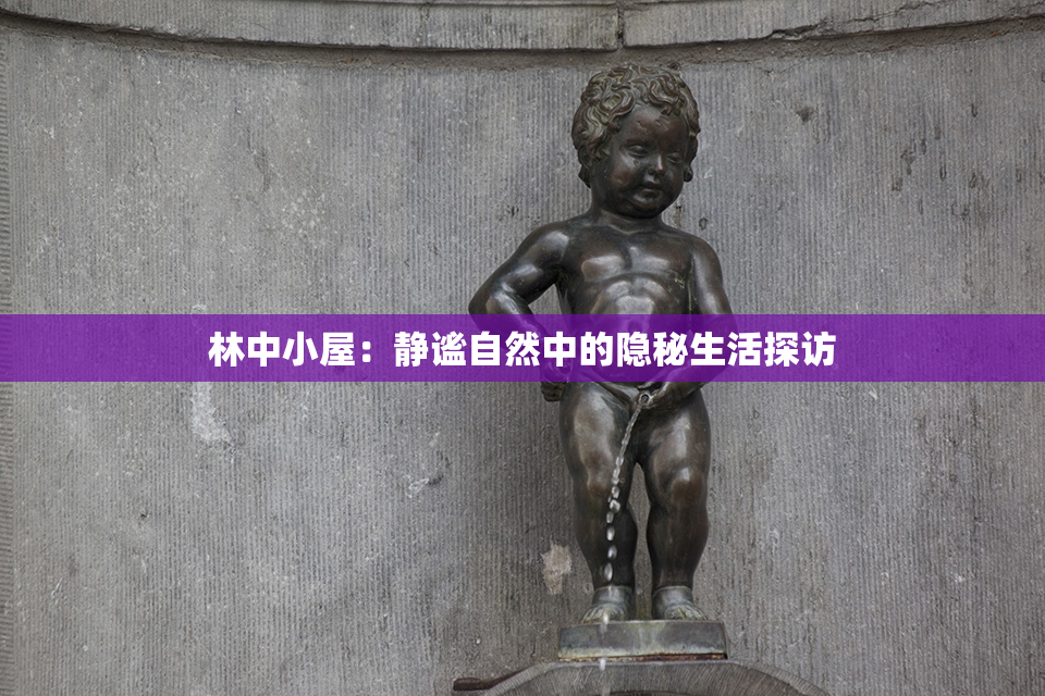 林中小屋：静谧自然中的隐秘生活探访