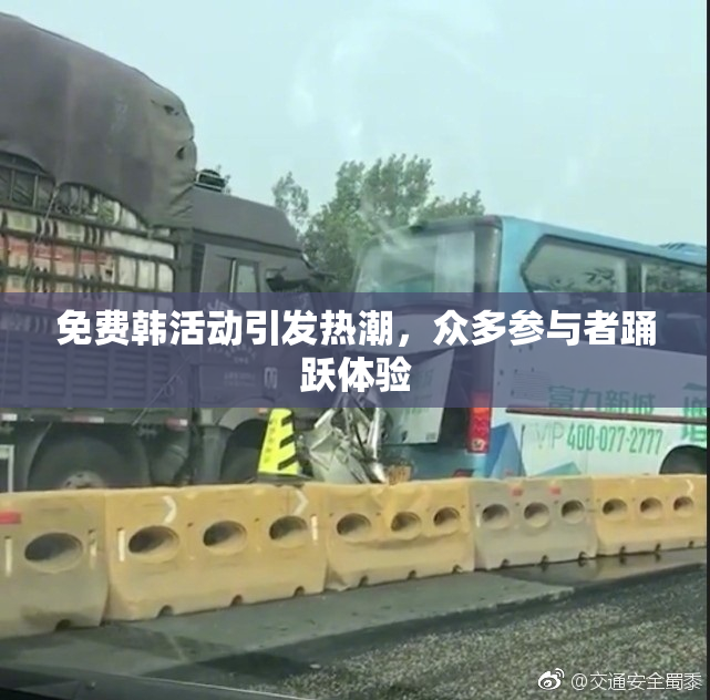 免费韩活动引发热潮，众多参与者踊跃体验