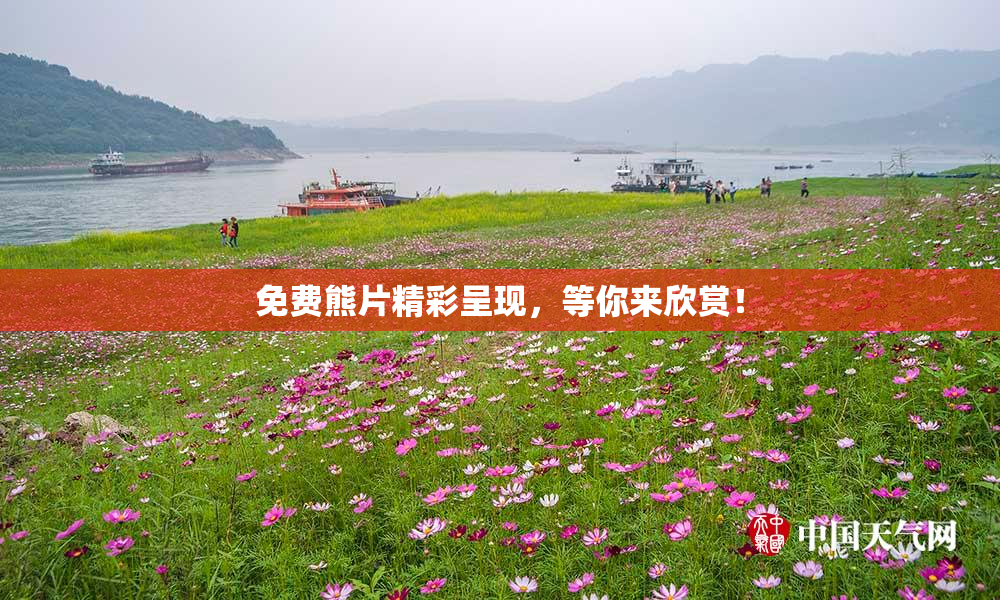 免费熊片精彩呈现，等你来欣赏！