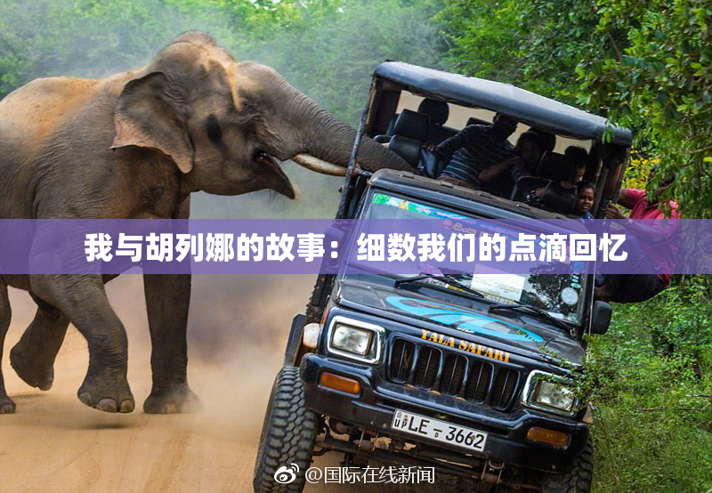 我与胡列娜的故事：细数我们的点滴回忆