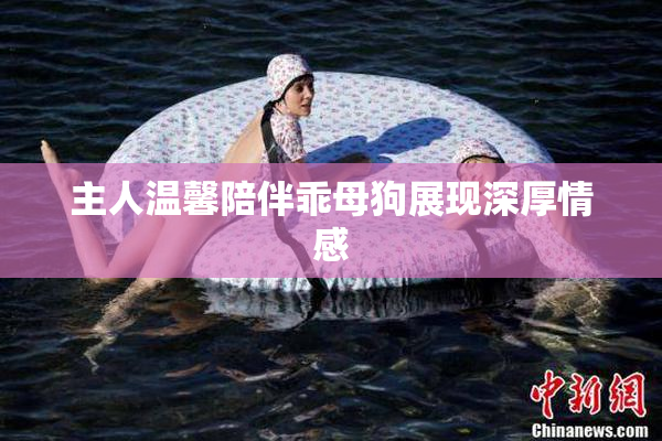 主人温馨陪伴乖母狗展现深厚情感