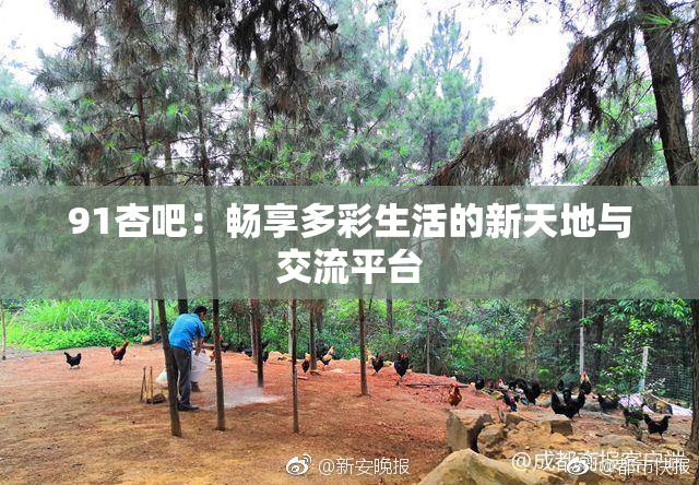 91杏吧：畅享多彩生活的新天地与交流平台