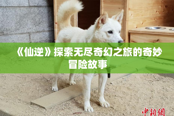 《仙逆》探索无尽奇幻之旅的奇妙冒险故事