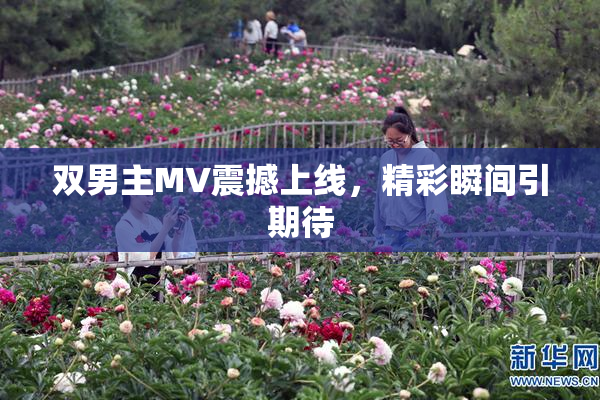 双男主MV震撼上线，精彩瞬间引期待