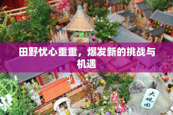 田野忧心重重，爆发新的挑战与机遇