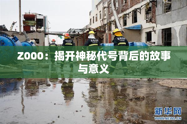 Z000：揭开神秘代号背后的故事与意义