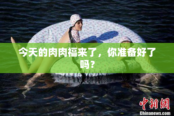 今天的肉肉福来了，你准备好了吗？
