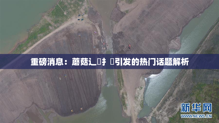 重磅消息：蘑菇辶喿扌畐引发的热门话题解析