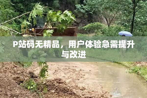 P站码无精品，用户体验急需提升与改进