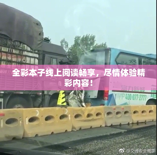 全彩本子线上阅读畅享，尽情体验精彩内容！