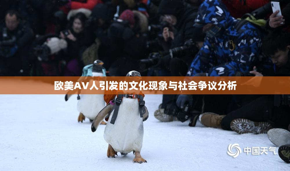 欧美AV人引发的文化现象与社会争议分析
