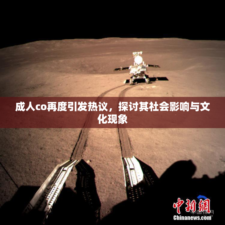 成人co再度引发热议，探讨其社会影响与文化现象