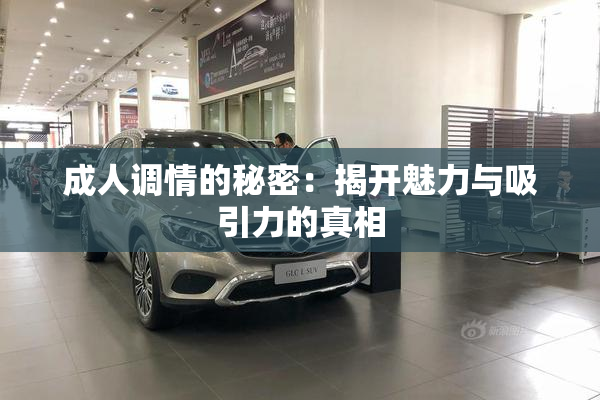 成人调情的秘密：揭开魅力与吸引力的真相