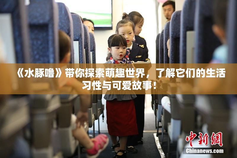 《水豚噜》带你探索萌趣世界，了解它们的生活习性与可爱故事！