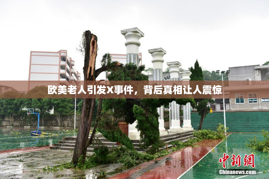 欧美老人引发X事件，背后真相让人震惊