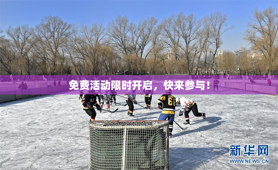 免费活动限时开启，快来参与！