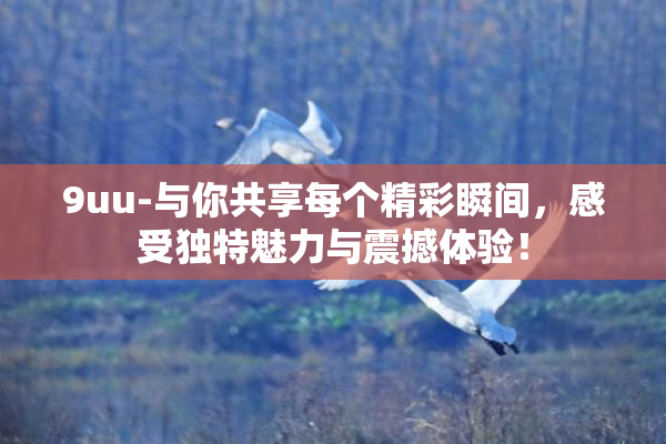 9uu-与你共享每个精彩瞬间，感受独特魅力与震撼体验！