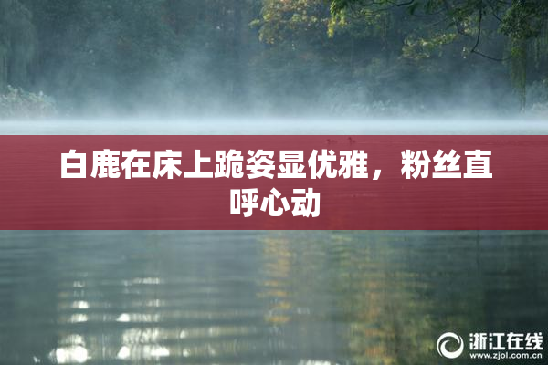 白鹿在床上跪姿显优雅，粉丝直呼心动