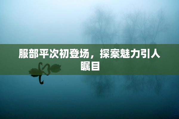 服部平次初登场，探案魅力引人瞩目