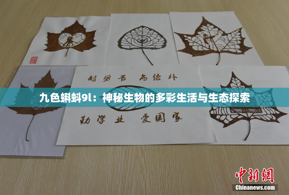 九色蝌蚪9l：神秘生物的多彩生活与生态探索