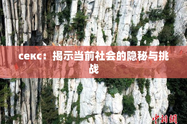 ceкс：揭示当前社会的隐秘与挑战