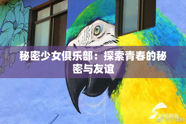 秘密少女俱乐部：探索青春的秘密与友谊
