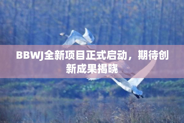 BBWJ全新项目正式启动，期待创新成果揭晓