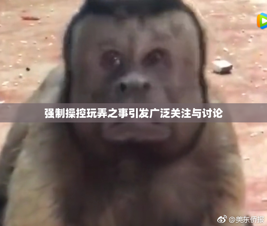 强制操控玩弄之事引发广泛关注与讨论