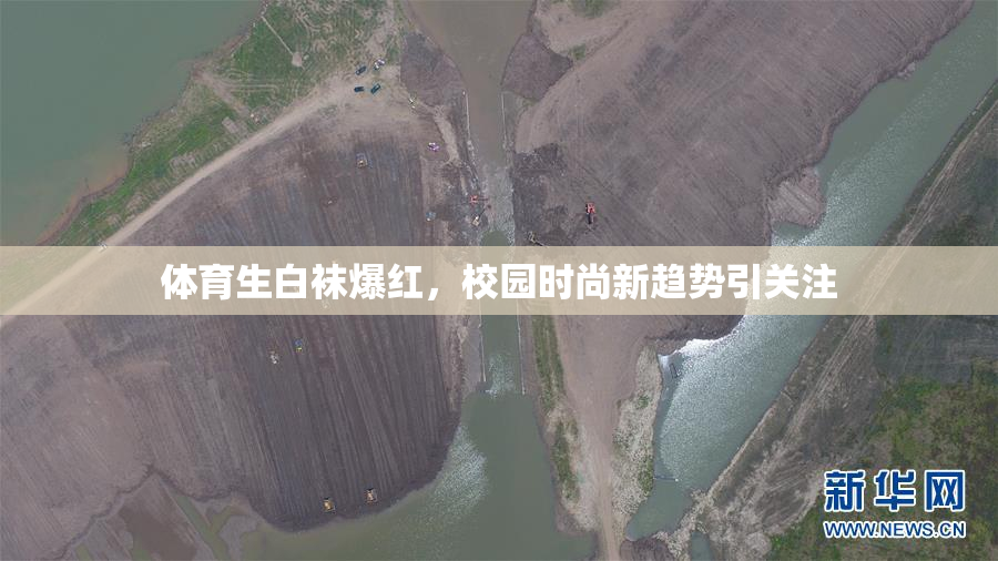 体育生白袜爆红，校园时尚新趋势引关注