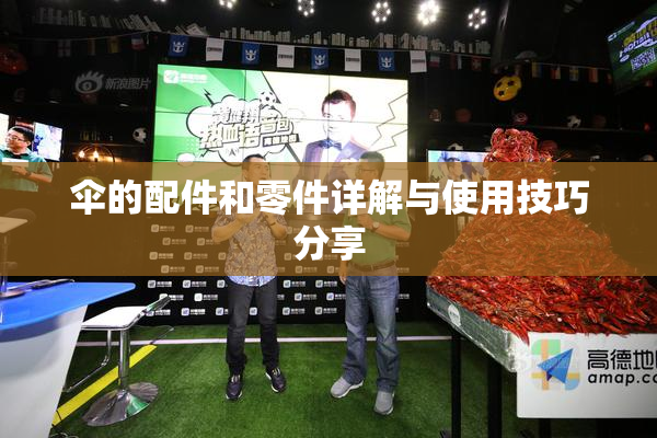 伞的配件和零件详解与使用技巧分享