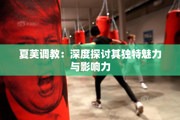 夏芙调教：深度探讨其独特魅力与影响力