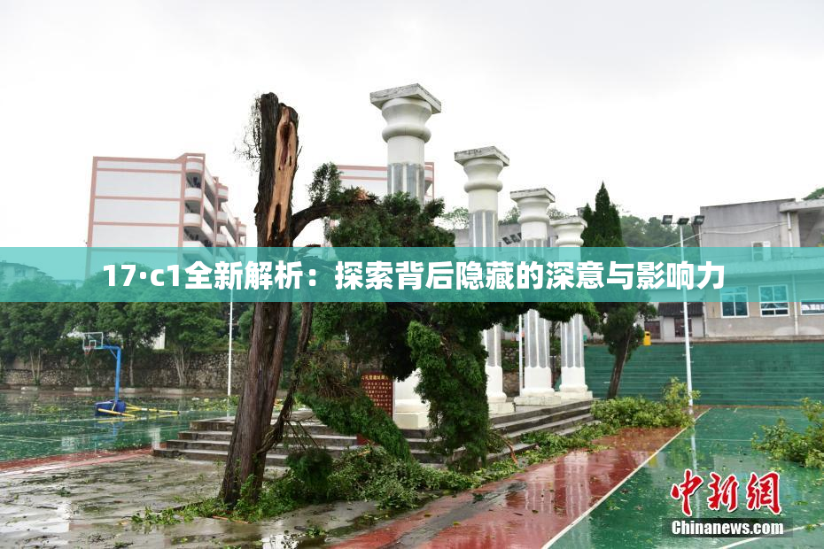 17·c1全新解析：探索背后隐藏的深意与影响力