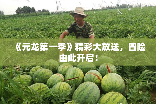 《元龙第一季》精彩大放送，冒险由此开启！