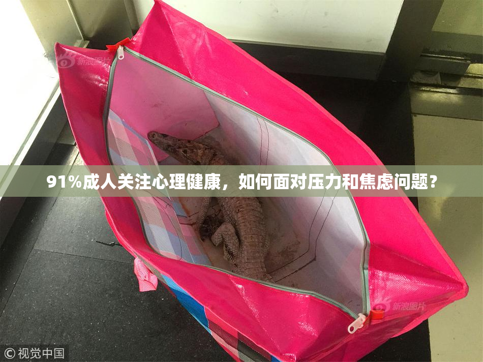 91%成人关注心理健康，如何面对压力和焦虑问题？
